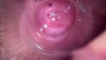 Close-Up View Of A Tight And Creamy Young Pussy